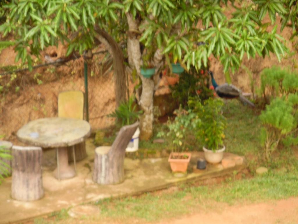 Mount View Villa Resort Mirissa Kültér fotó